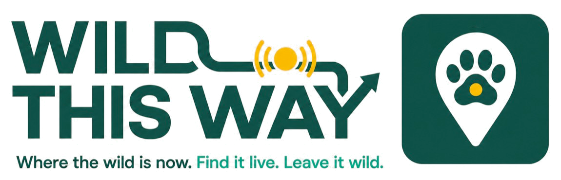 Wild This Way — Where the wild is now. Find it live. Leave it wild.